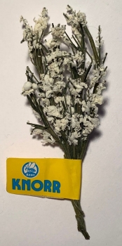 Mini Weiderich weiss